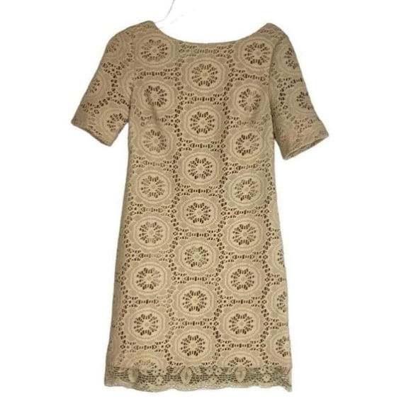 ADRIANNA Papell Petite Beige Crochet Lace Dress Size 2P -  www.ice4pros.com.br